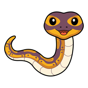 Cute banana ball python snake cartoon