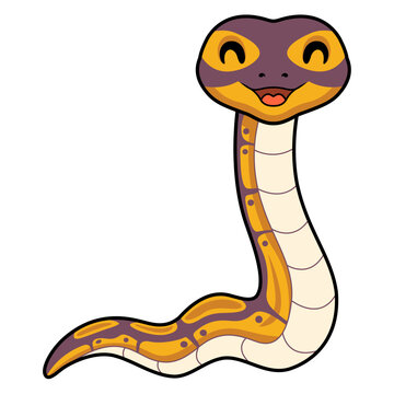 Cute banana ball python snake cartoon
