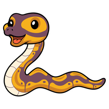 Cute banana ball python snake cartoon