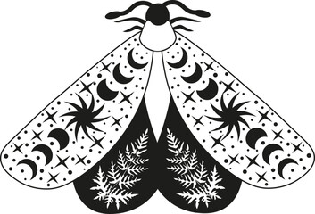 Mystery Moon Moth vector illustration.  Magic floral insect on white background.