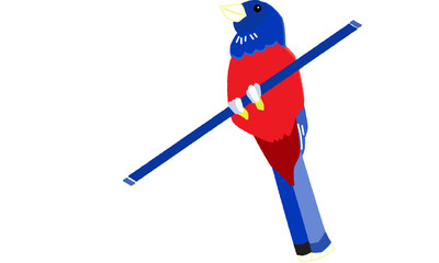 世界自然遺産の島の生き物　ルリカケス　ビビット調