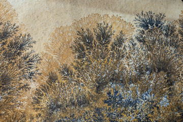 Detailed example of dendrites on a stone.