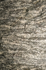 Detail of the pararula stone structure.