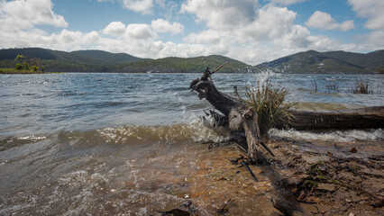 Summer Landscape Lake Water Clouds Trees