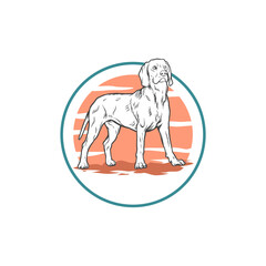 dog drawn illustration