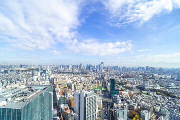 Fototapeta na wymiar 東京　渋谷から望む都市風景
