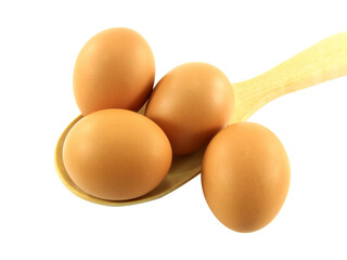 egg isolated on white background