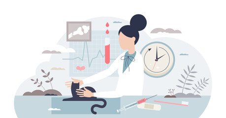 Veterinary technician work and animal healthcare doctor tiny person concept, transparent background. Pets examination and expertise job to help cats and dogs to determinate diagnosis illustration. - obrazy, fototapety, plakaty