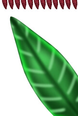 Aesthetic Leaf Simple For Decoration Ornament
