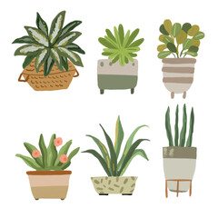 Cacti and House Plant Element Illustration