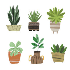 Cacti and House Plant Element Illustration
