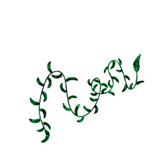 Aesthetic Leaf Simple For Decoration Ornament