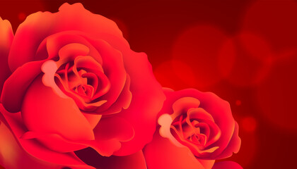 Obraz na płótnie Canvas red rose background