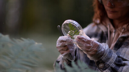 Female scientist biologist researcher testing seedling plant test tube lab. Biological agriculture research genetic engineering laboratory