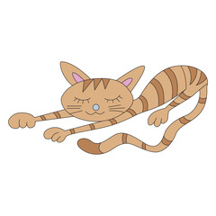 Venche Cat Craft Design