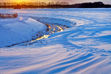 夕景の雪原（更別村）