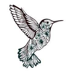 Humming bird vector art, isolated in white background, 
vector illustration.