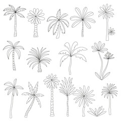 Palm set doodle illustration. Vector illustration. Black on white