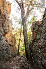 Hiking in the mountains