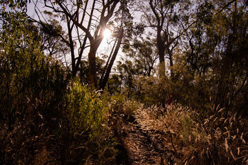 Hiking in the mountains