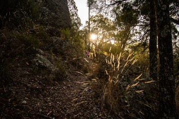 Hiking in the mountains