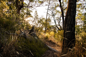 Hiking in the mountains