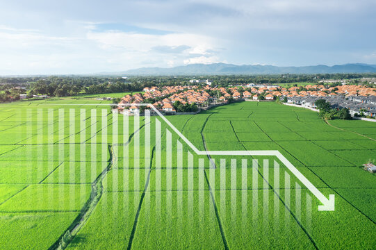 Land, landscape or green field in aerial view. Include house building, bar chart or graph, drop down arrow. Real estate or property with concept for sale price, land value to decrease, reduction, low.