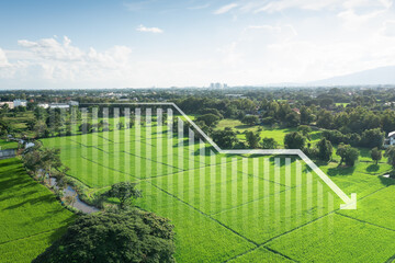 Land, landscape or green field in aerial view. Include bar chart or graph, drop down arrow. Real estate or property with concept for sale price, land value to decrease, reduction or negative trend.
