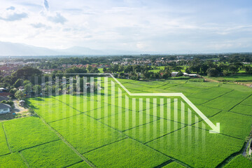 Land, landscape or green field in aerial view. Include bar chart or graph, drop down arrow. Real estate or property with concept for sale price, land value to decrease, reduction or negative trend.