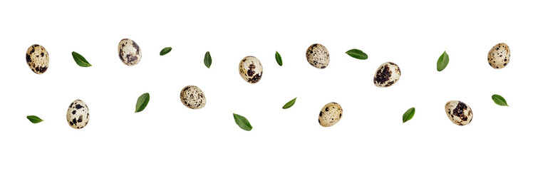 Creative pattern with quail eggs cut out on transparent background. Easter zero waste decor