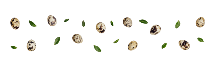 Creative pattern with quail eggs cut out on transparent background. Easter zero waste decor