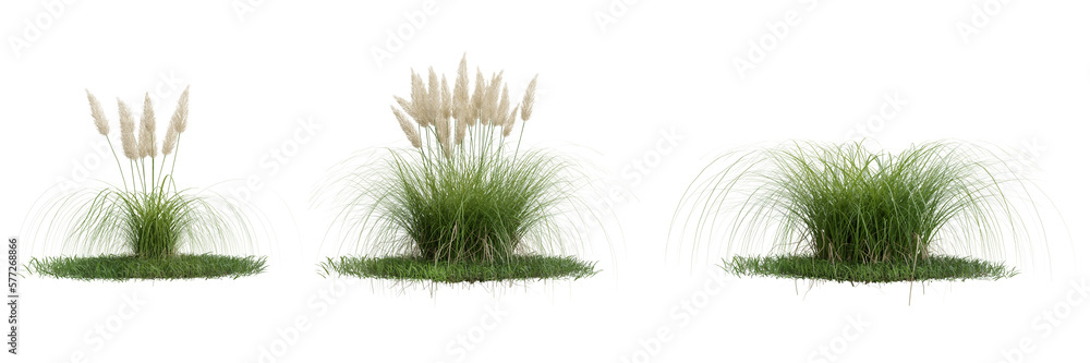 Wall mural collection green grass on transparent background 3d rendering png