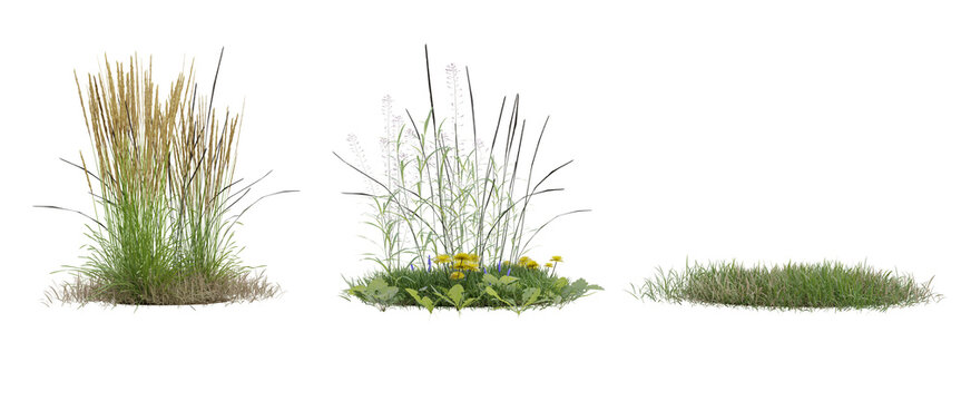 Collection Green Grass On Transparent Background 3d Rendering Png