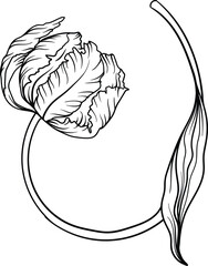 Outline tulip. line art hand drawn flowers. Tulips vector. floral illustration. This art is perfect for invitation cards, spring decor, greeting cards, posters, scrapbooking, print, wallpaper, wrappin