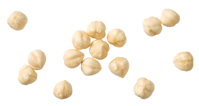Hazelnuts isolated on the white background, top view.