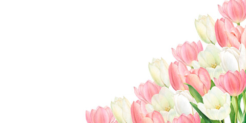 Watercolour illustration of a beautiful bouquet of pink and white tulips in the corner. Perfectly hand-drawn on a white background.
