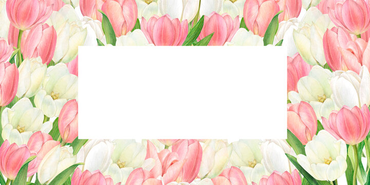 Watercolour frame with numerous beautiful white and pink tulips. Hand-drawn with a space for your words in the center