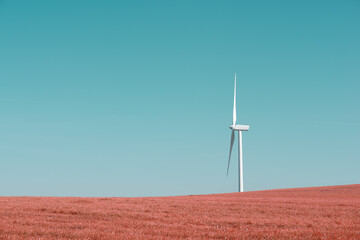 Wind turbine for the production of renewable electricity on a meadow
