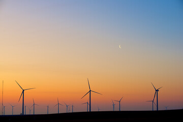 Silhouettes of a group of wind turbines at sunrise.