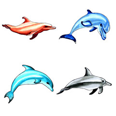 Set of brown, blue, black and aqua color dolphins. PNG illustration marine animals.