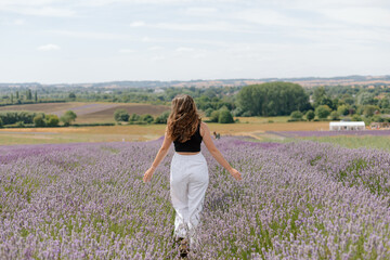 Fototapeta na wymiar Running through the fields of an English lavender field