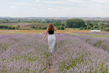 Fototapeta na wymiar Runing through the fields of an English lavender field