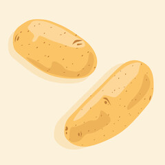 Two whole unpeeled potatoes, top view. Vector icons of vegetables. Fresh food.