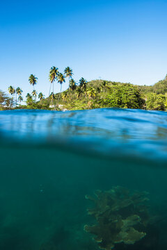 Tres Palmas Marine Reserve in Rincon, Puerto Rico