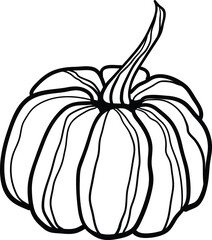 Pumpkin outline drawing. Autumn illustration. Fall clipart. Halloween. Thanksgiving. Line art