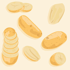 A set of potatoes of different sizes and potatoes cut into slices and in half. Vector icons of vegetables. Fresh wholesome foods.