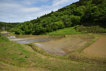 Terraced rice fields covered with water