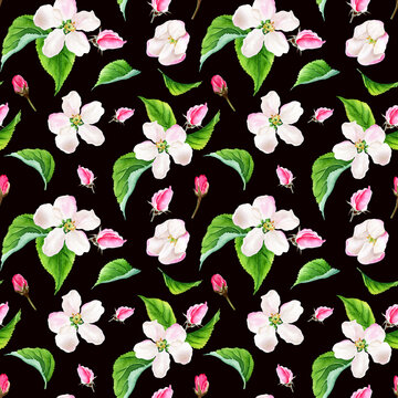 Seamless pattern with apple tree floral elements. Watercolor illustration isolated on black background.