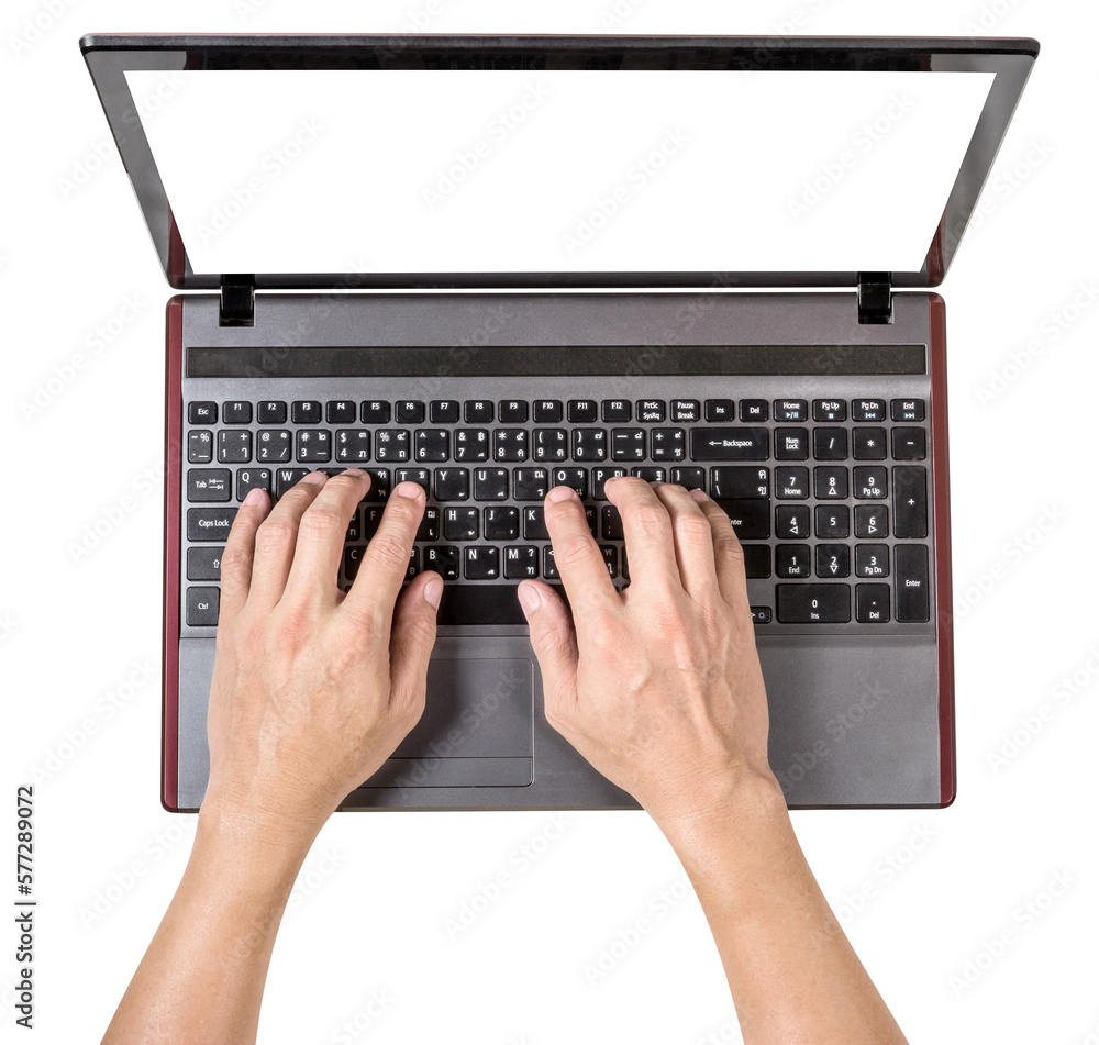 Wall mural man using laptop isolated