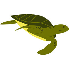 Turtle Illustration-04